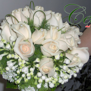 HPIM0538.JPG