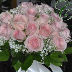 HPIM0807.JPG