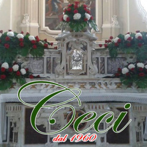 Fiori ceci 6